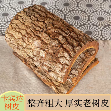卡宾达树皮，可煮水或者泡酒，有大货，欢迎来电洽谈