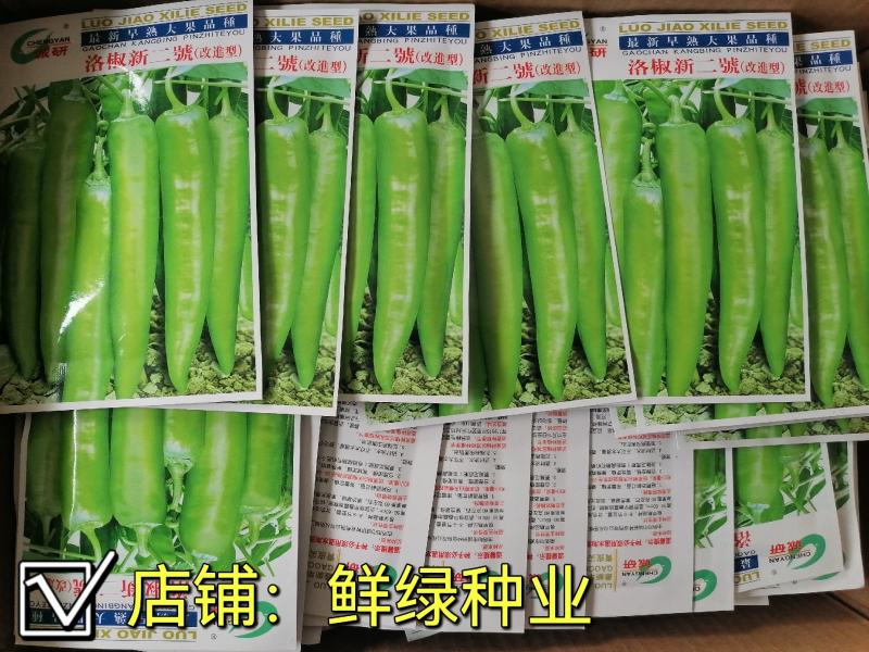 洛椒新五號羊角形果重50—70g翠绿果肉坚实耐贮运丰产