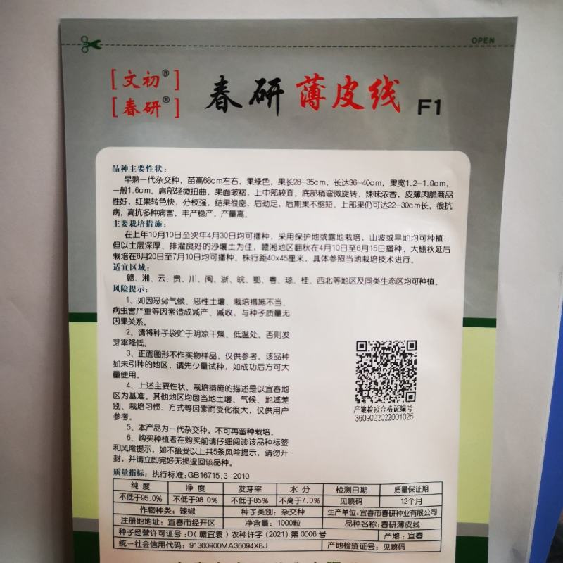 江西文初春研薄皮线线椒种子抗病早熟皮薄肉脆种植户辣椒种子