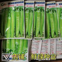 洛椒新二號青皮尖椒种早熟色翠绿光滑耐贮运单果重60g左右