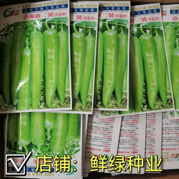 洛椒新二號青皮尖椒种早熟色翠绿光滑耐贮运单果重60g左右