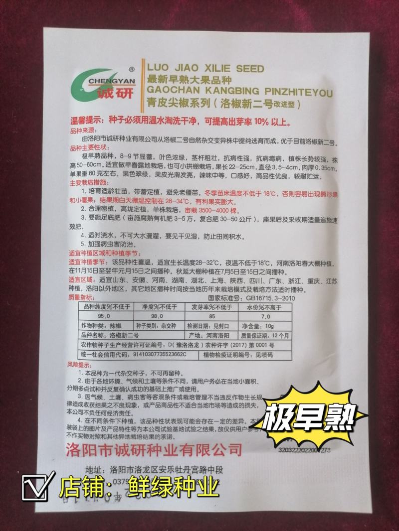 洛椒新二號青皮尖椒种早熟色翠绿光滑耐贮运单果重60g左右