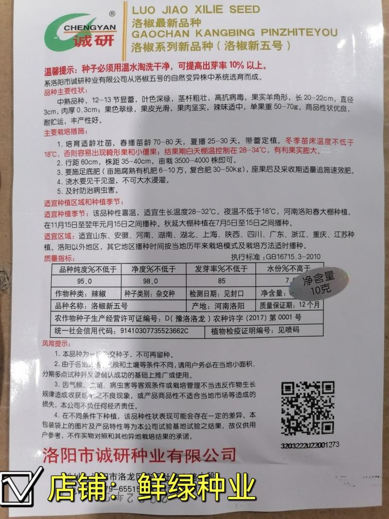 洛椒新二號青皮尖椒种早熟色翠绿光滑耐贮运单果重60g左右