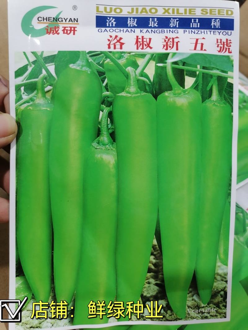 洛椒新二號青皮尖椒种早熟色翠绿光滑耐贮运单果重60g左右