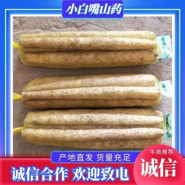 安平小白嘴山药，精品白山药网袋，产地直发，一手货源