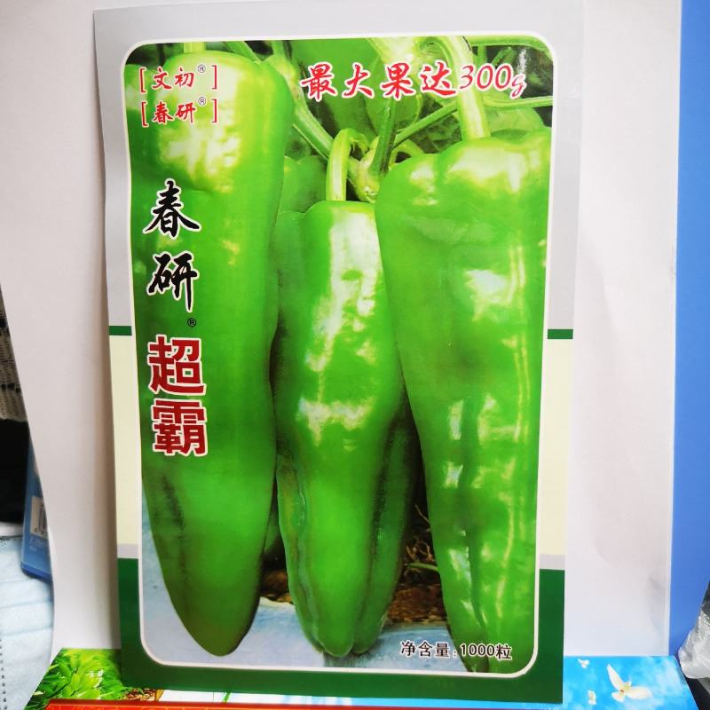 江西文初春研超霸牛角椒种子早熟大果抗病春秋种植户辣椒种子
