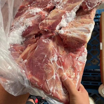 带颈前排，肉质好，价格便宜，性价比高，欢迎新老客户咨询