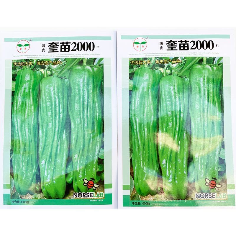 奎苗2000大果薄皮辣椒种子翠绿长灯笼椒种1000粒原装