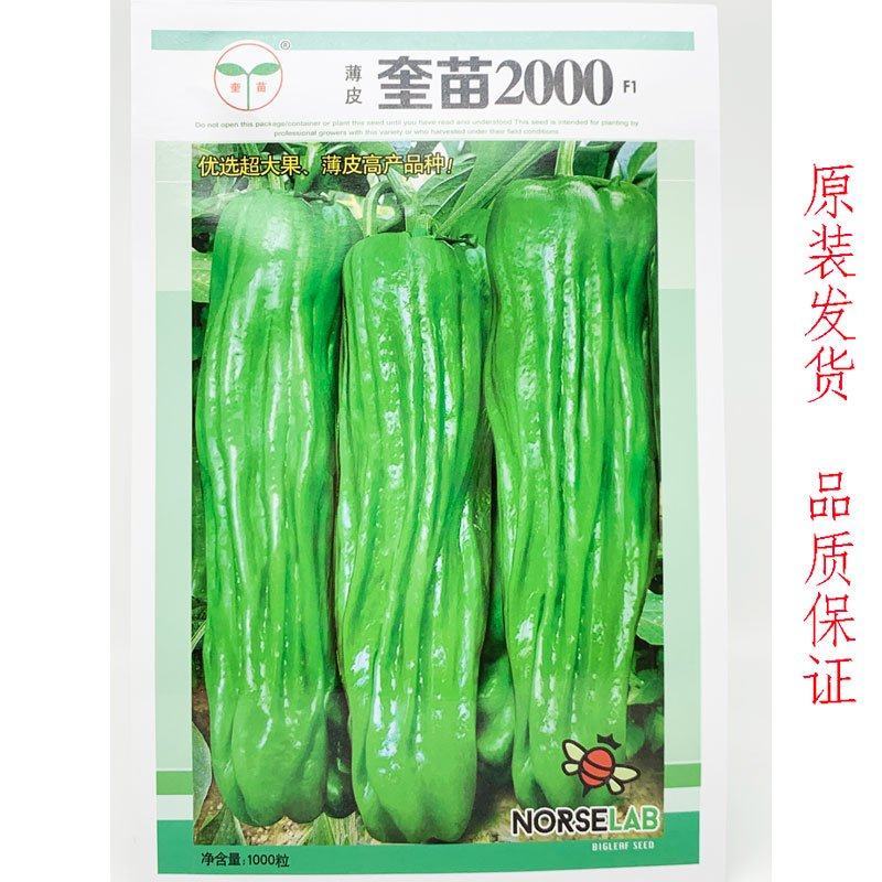 奎苗2000大果薄皮辣椒种子翠绿长灯笼椒种1000粒原装