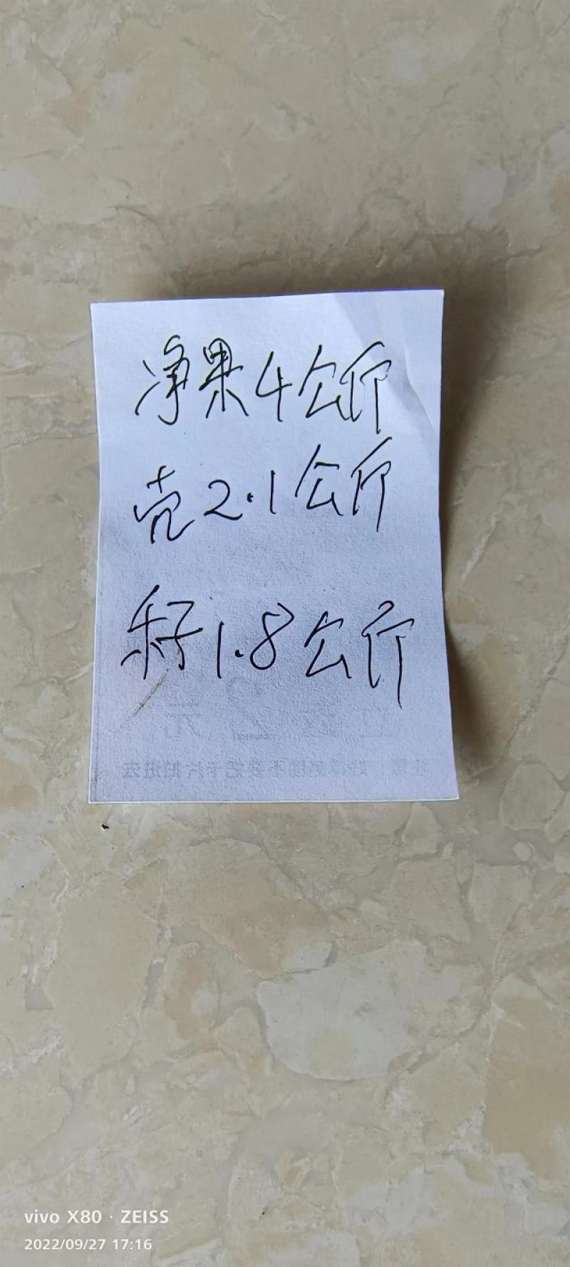 云南野生油茶果原生态油茶果出油率25~28