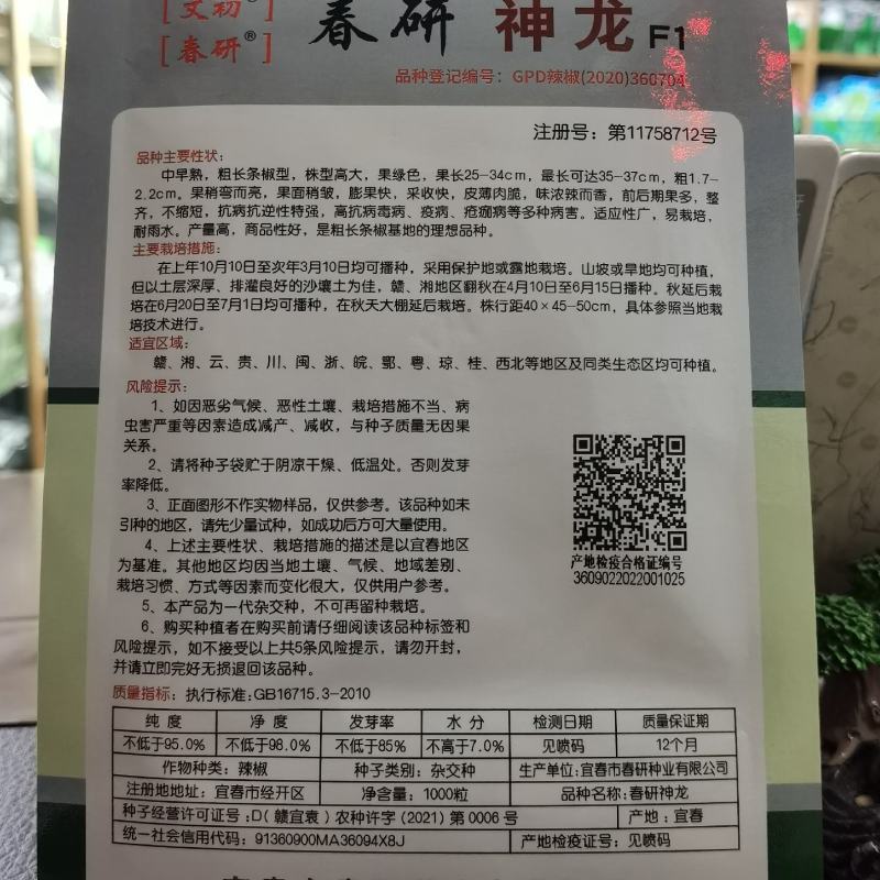 文初春研神龙线椒种子中早熟粗长条皮薄肉脆浓辣辣椒种子