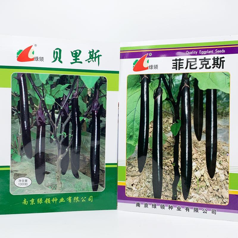 绿领菲尼克斯紫黑长茄茄子种子早熟高产薄皮长茄种原装发货