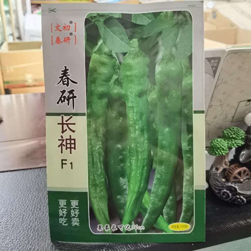 文初春研长神羊角椒种子杂交皮薄肉脆味微辣种植户辣椒种子