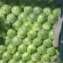 想卖甘蓝