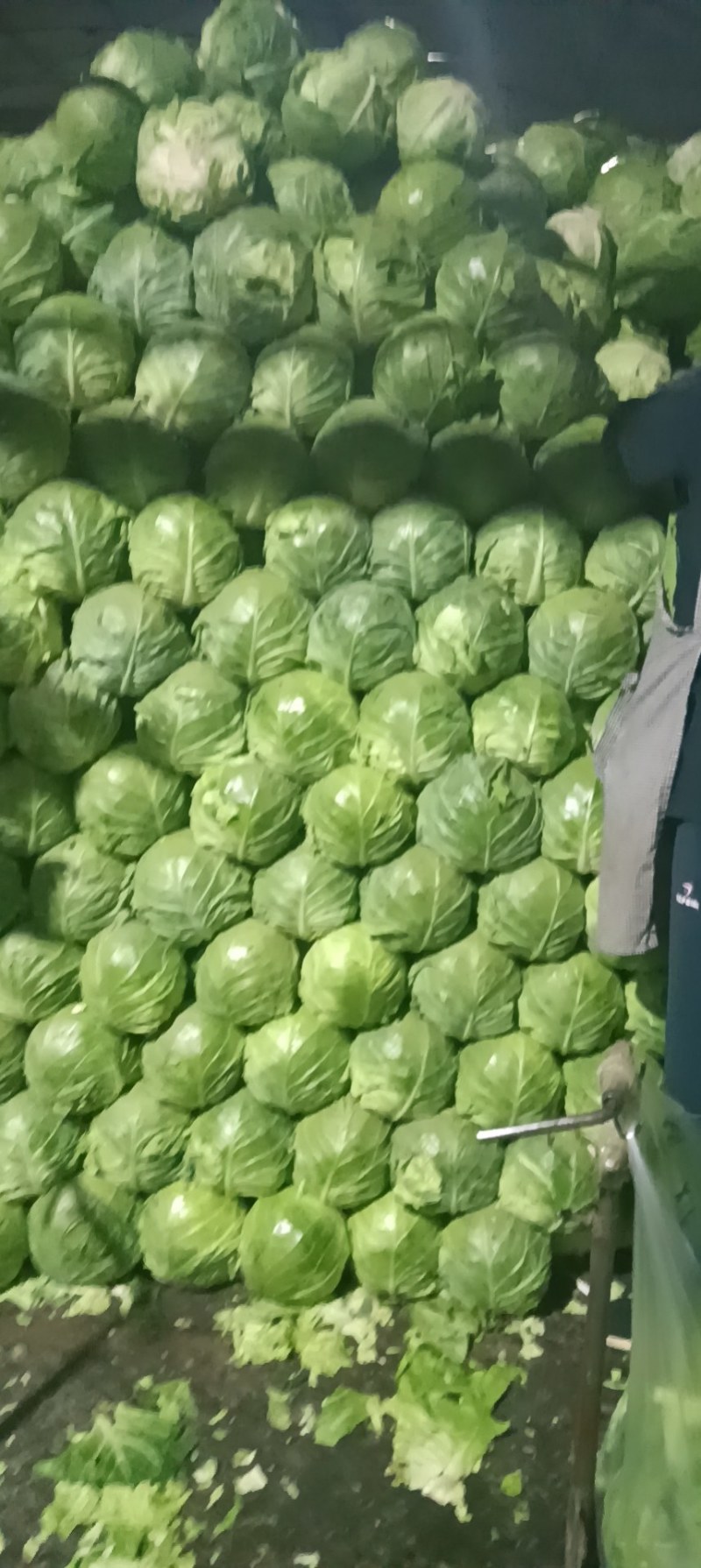 想卖甘蓝