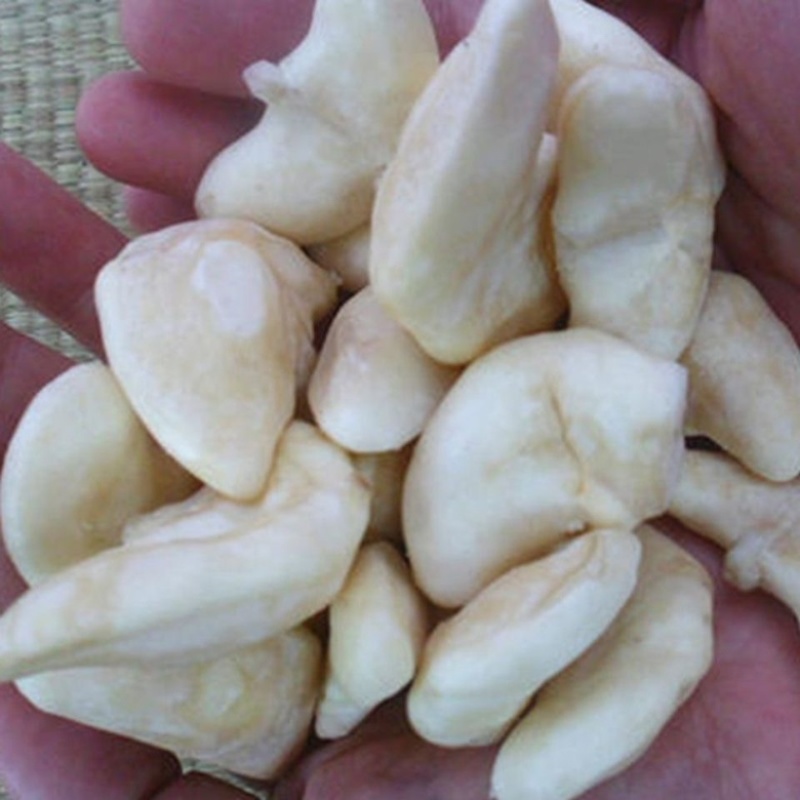 菱角米湖北天井湖新鲜菱角米产地供货欢迎咨询