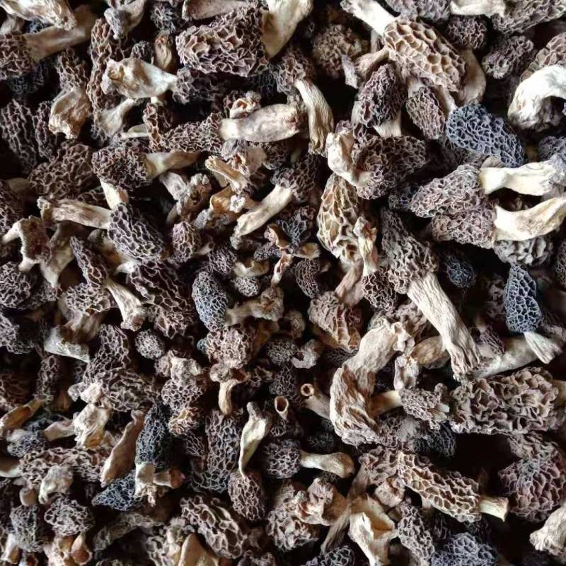 纯野生羊肚菌买家验货不满意快递员在场随时退货快递费自理