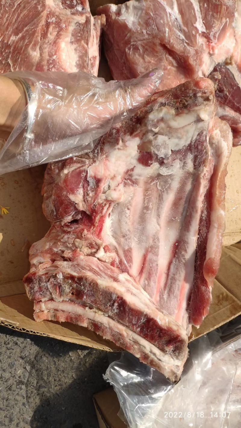 肥猪去颈前排，肉质新鲜度高，性价比高，欢迎新老客户下单