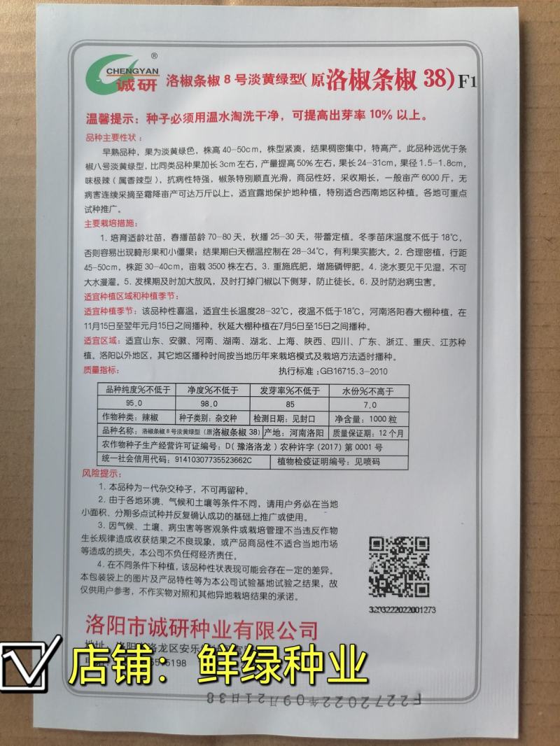 洛椒条椒8号淡黄绿色早熟线椒黄绿条新突破光滑丰产