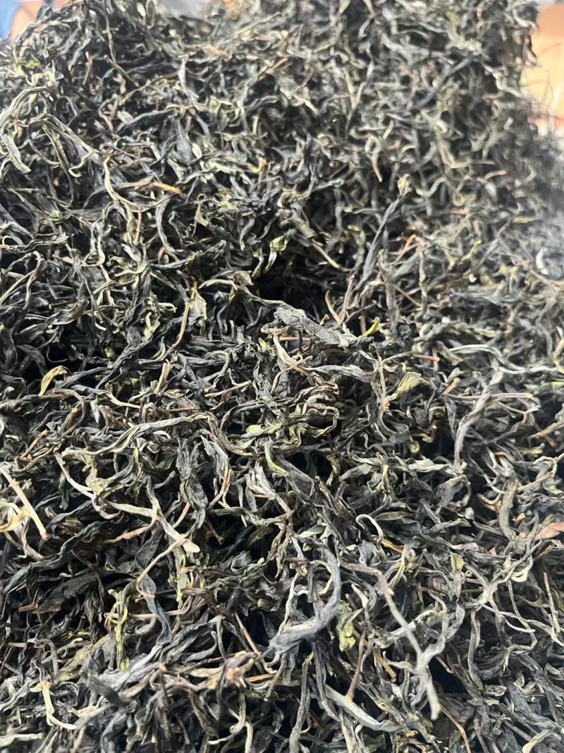 普洱