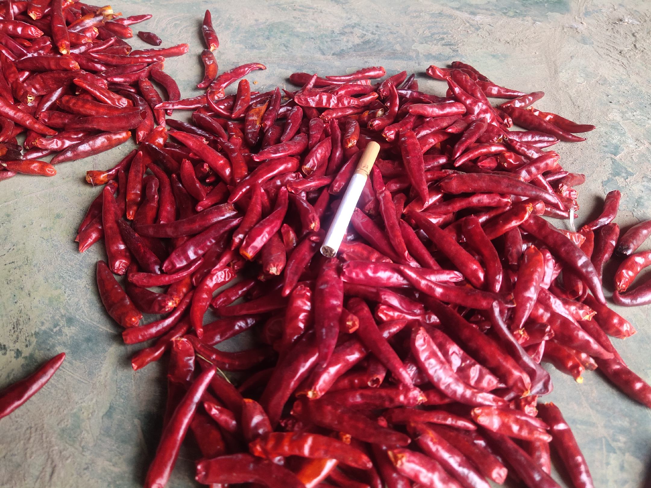 干辣椒炒洋葱烹饪过程图