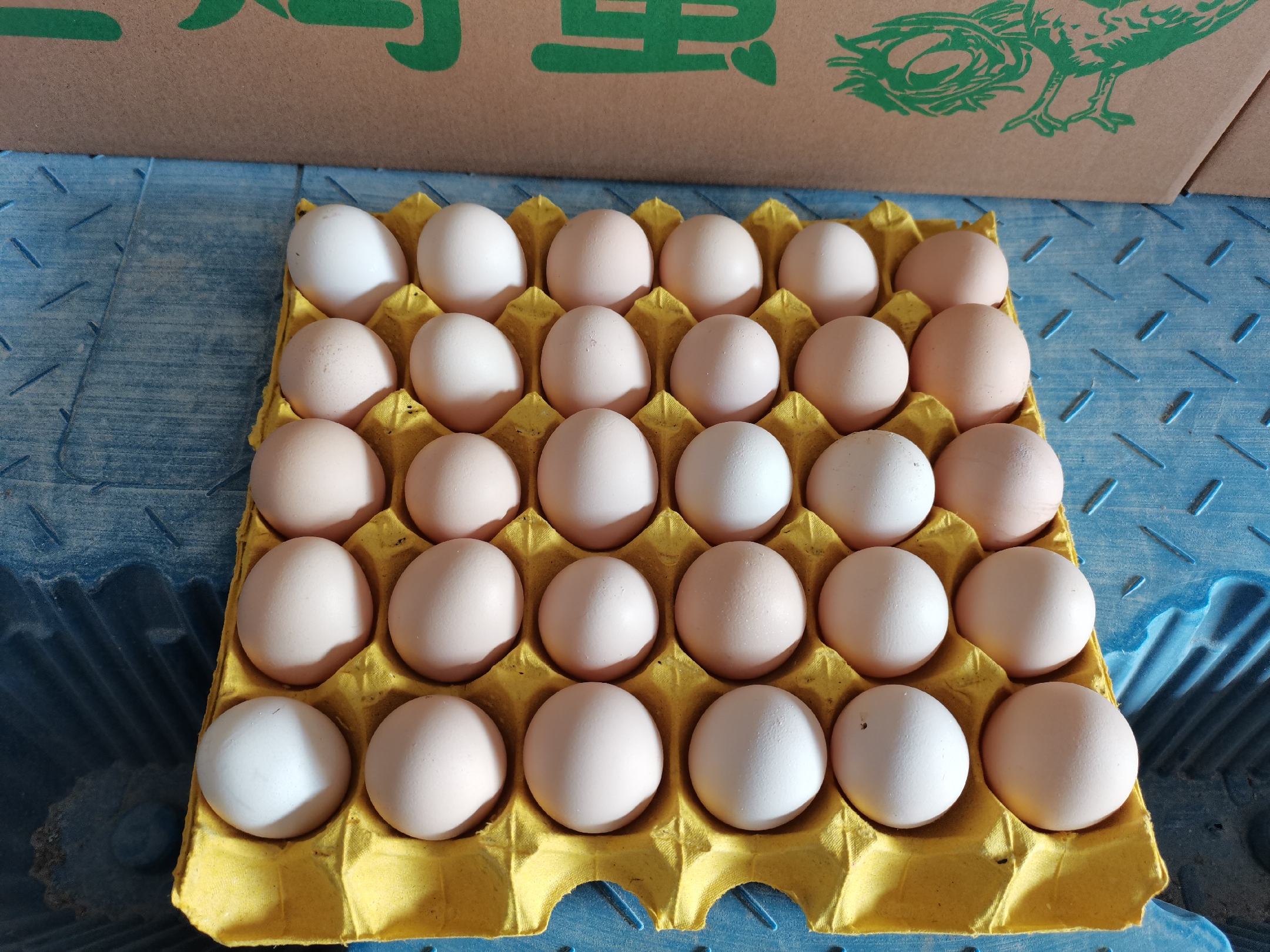 羽衣甘蓝料理成品图