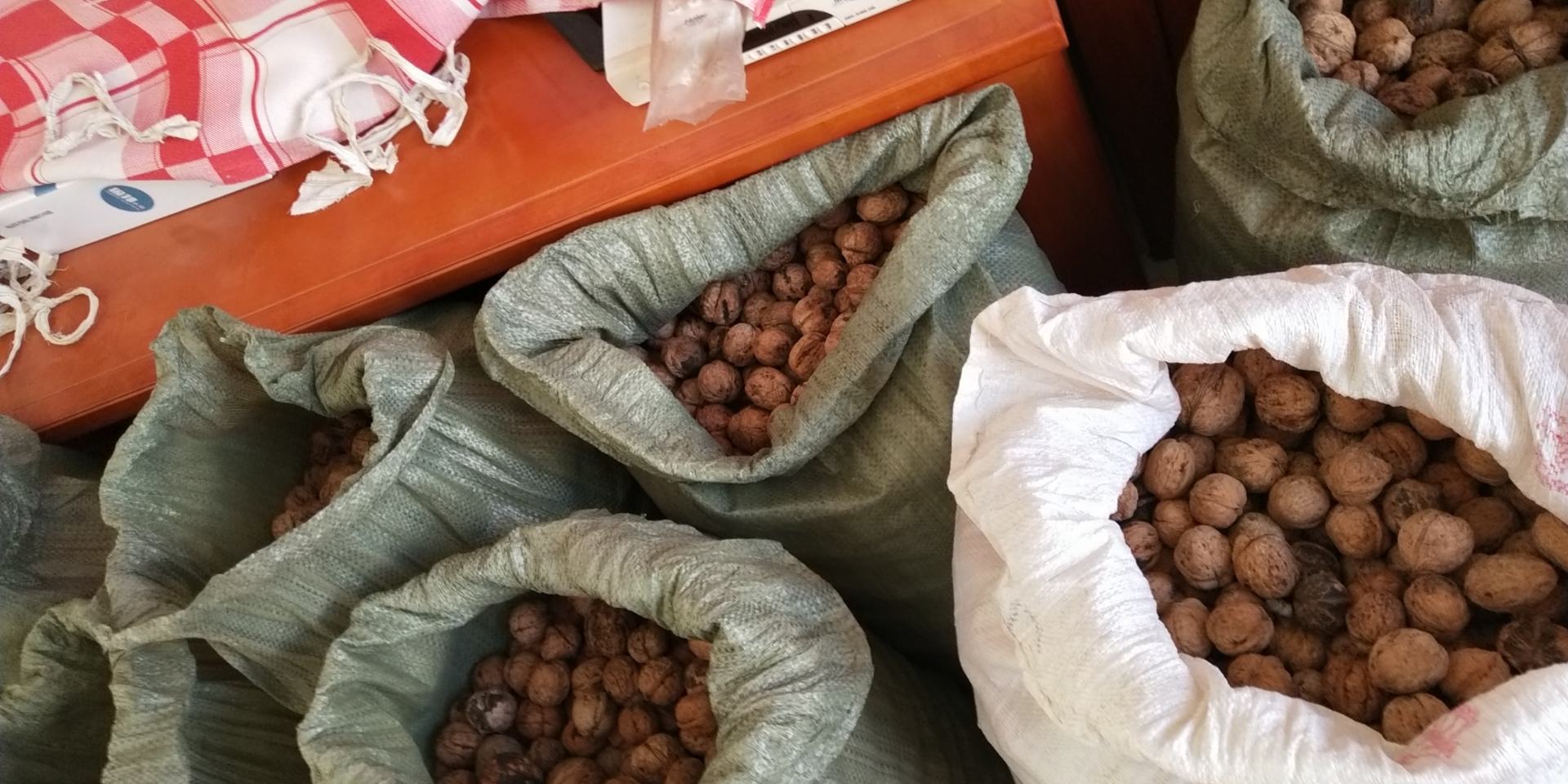 桃袋类型对比图,展示不同材质和颜色的桃袋在果实套袋中的应用效果 桃袋类型对比图