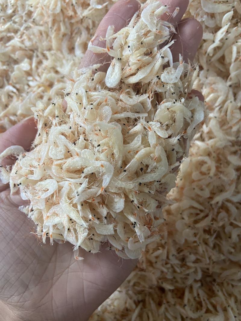 大号虾皮批发个头大现货供应下单秒发