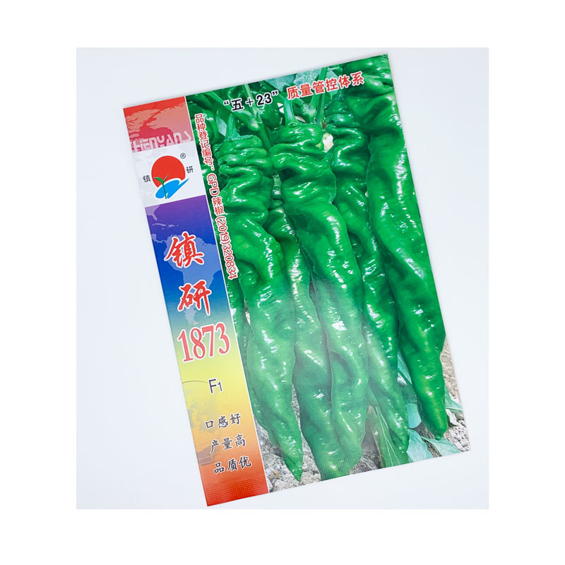 镇研凯旋1873螺丝椒种子早熟香辣螺丝椒种原装发货
