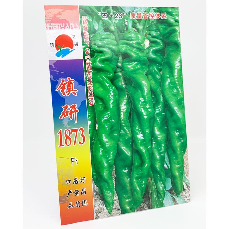 镇研凯旋1873螺丝椒种子早熟香辣螺丝椒种原装发货
