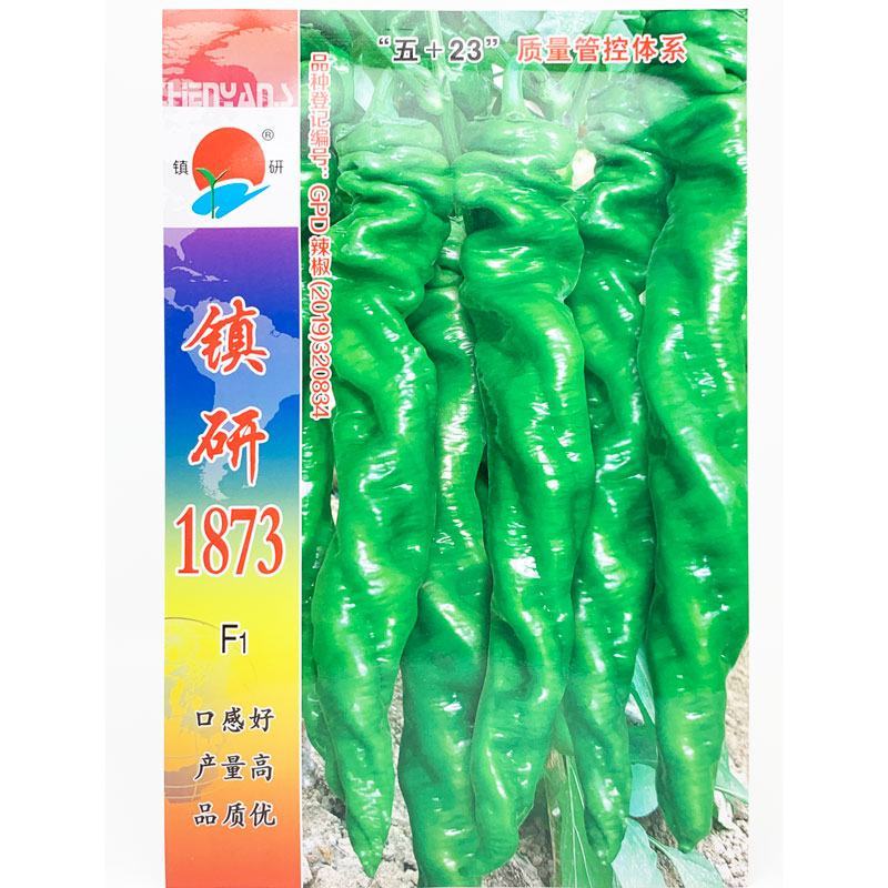 镇研凯旋1873螺丝椒种子早熟香辣螺丝椒种原装发货