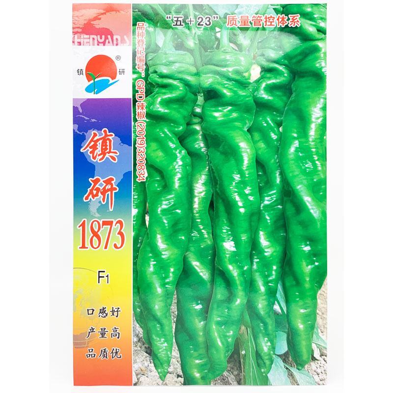 镇研凯旋1873螺丝椒种子早熟香辣螺丝椒种原装发货