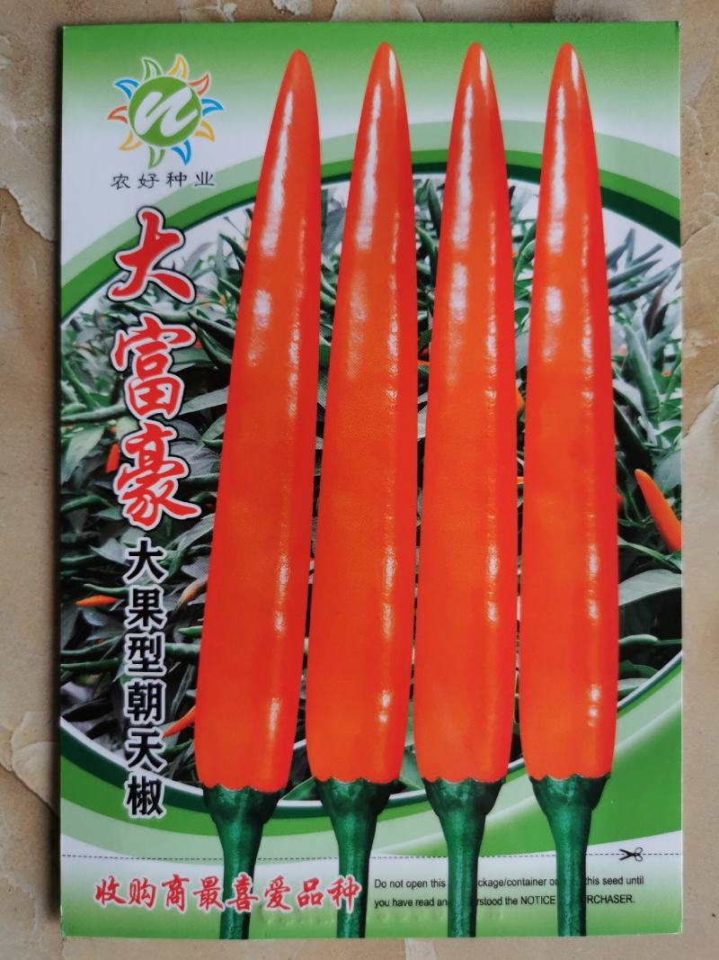 大富豪大果朝天椒种子泰国引进朝天椒长9-12厘米原装发货