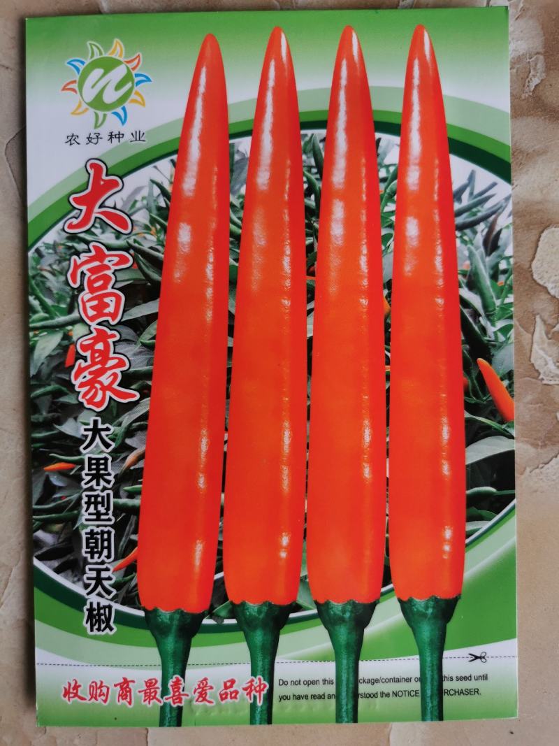 大富豪大果朝天椒种子泰国引进朝天椒长9-12厘米原装发货