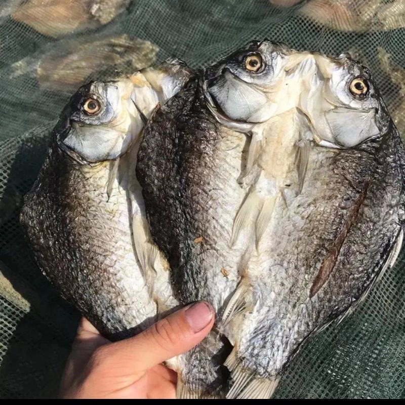 阳干鲫鱼