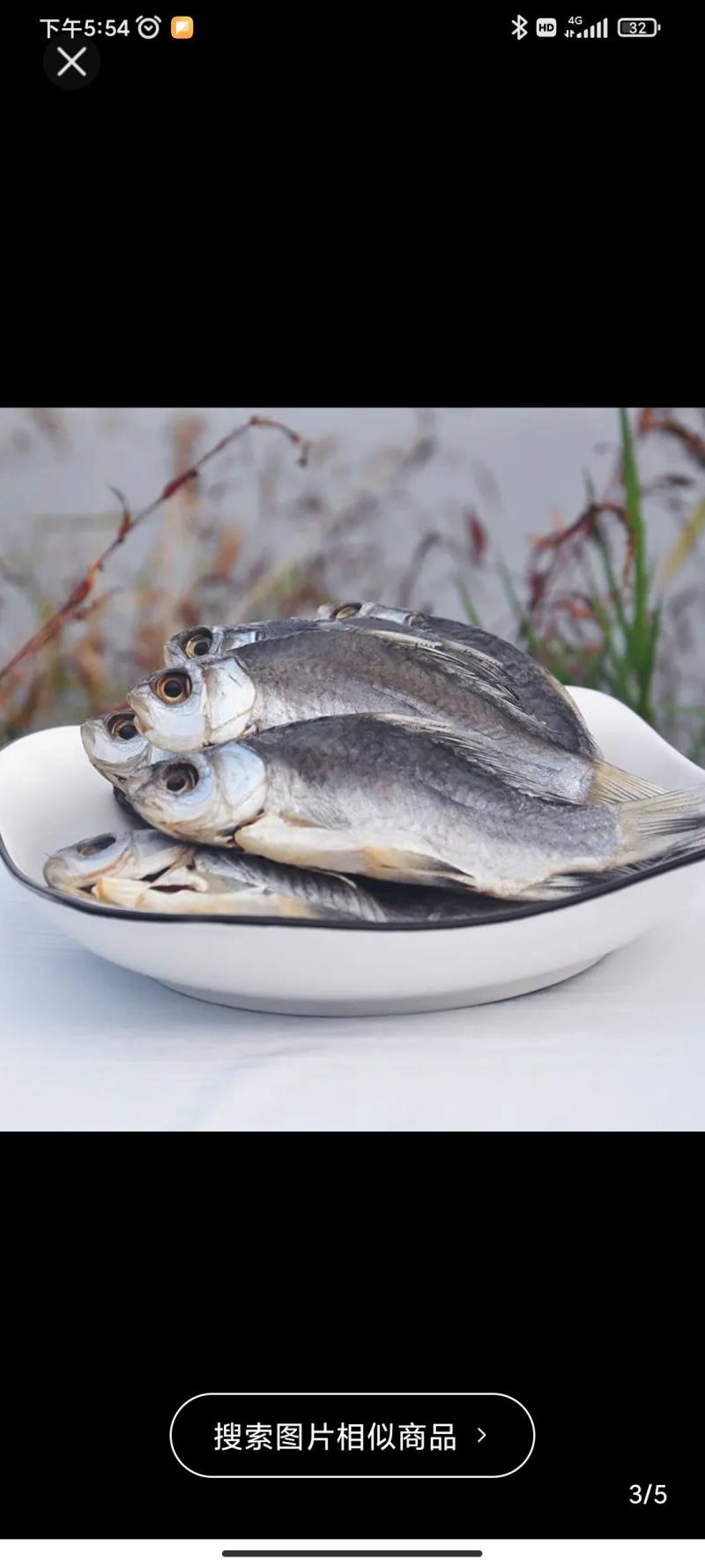 阳干鲫鱼