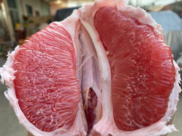 红心蜜柚切开展示