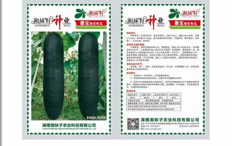 专业销售冬瓜种子