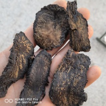 肉苁蓉甜大云新货选片软质关书药业
