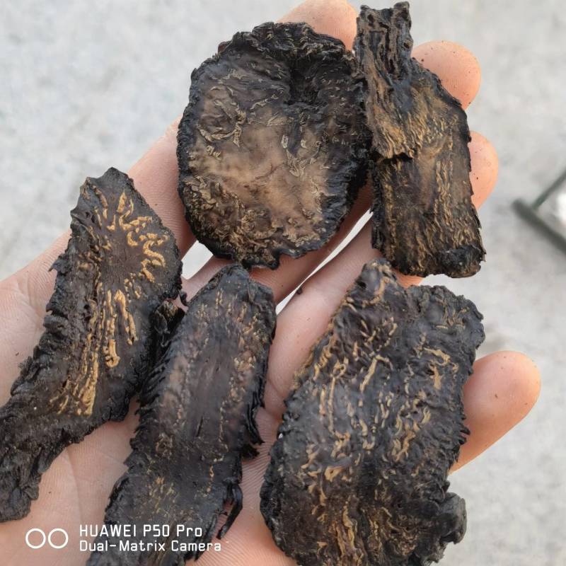 肉苁蓉甜大云新货选片软质关书药业