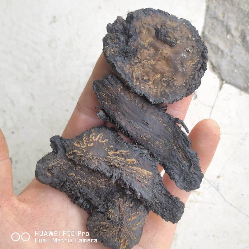 肉苁蓉甜大云新货选片软质关书药业