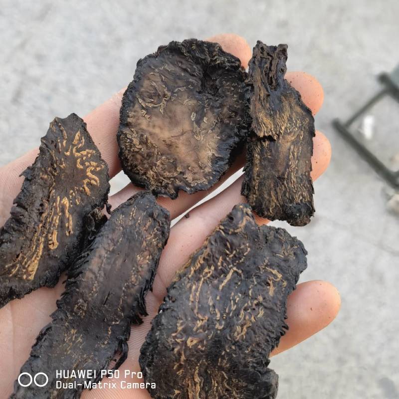 肉苁蓉甜大云新货选片软质关书药业