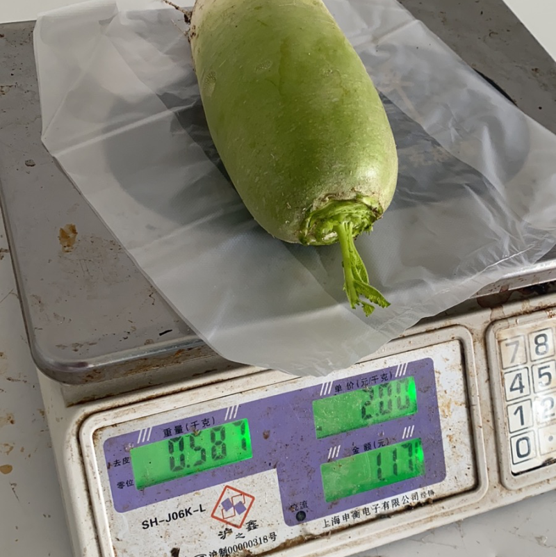 青萝卜陆续大量上市。