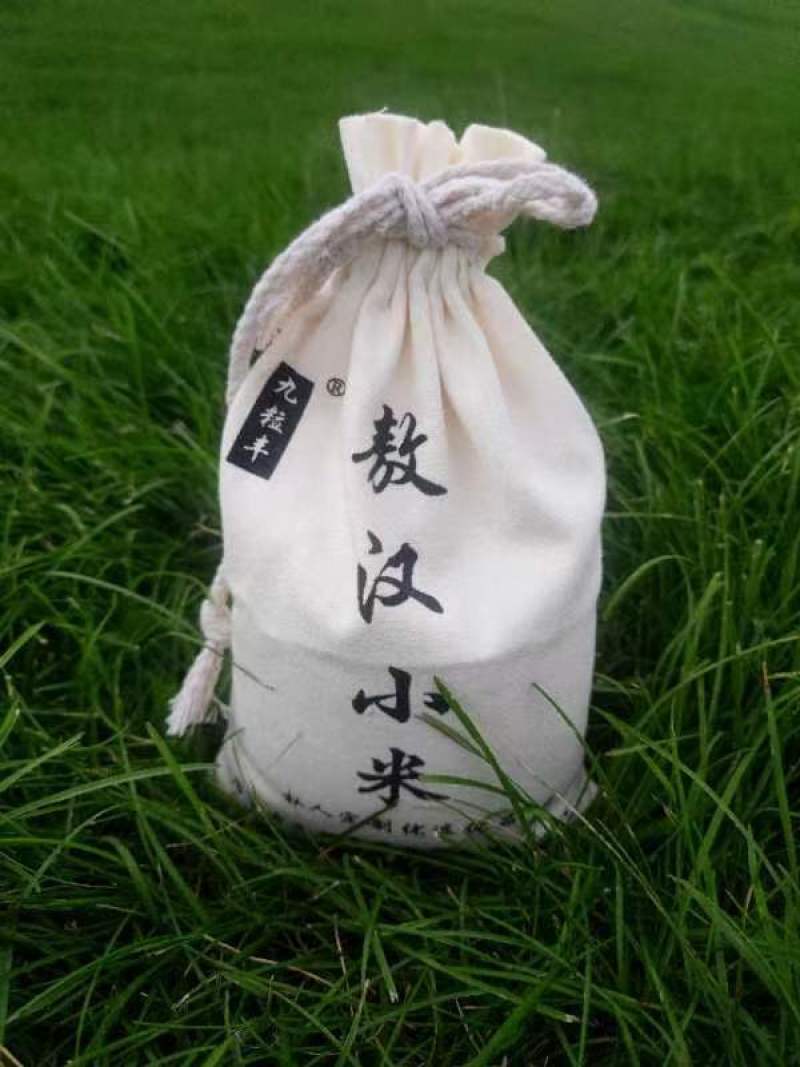 敖汉小米