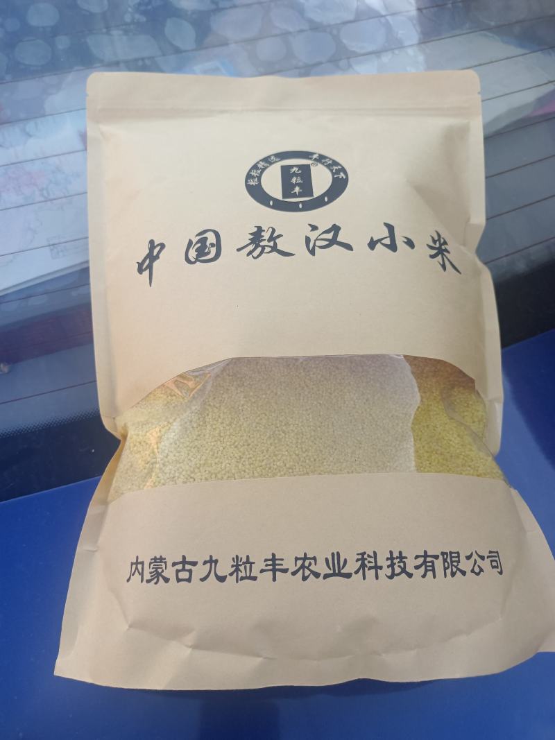 敖汉小米