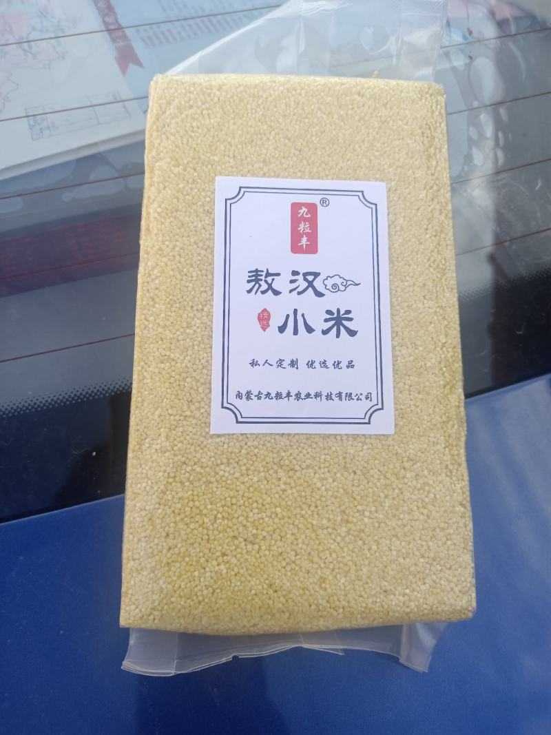 敖汉小米