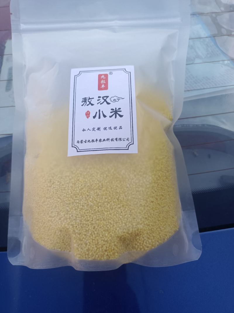 敖汉小米