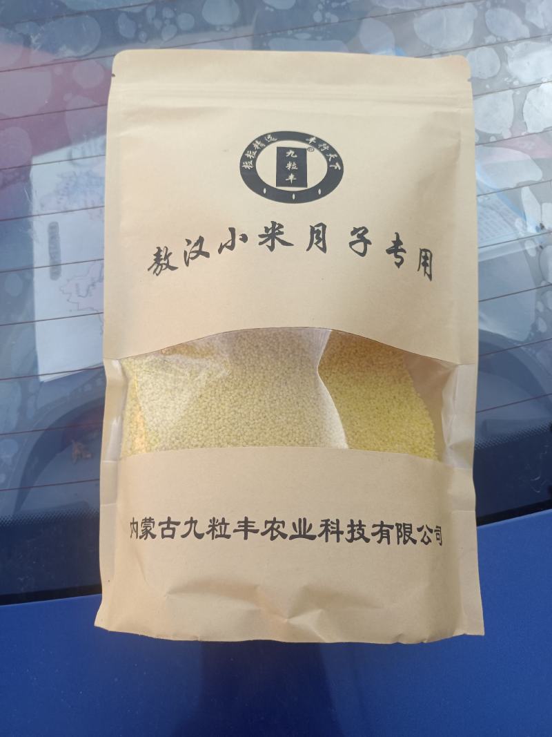 敖汉小米