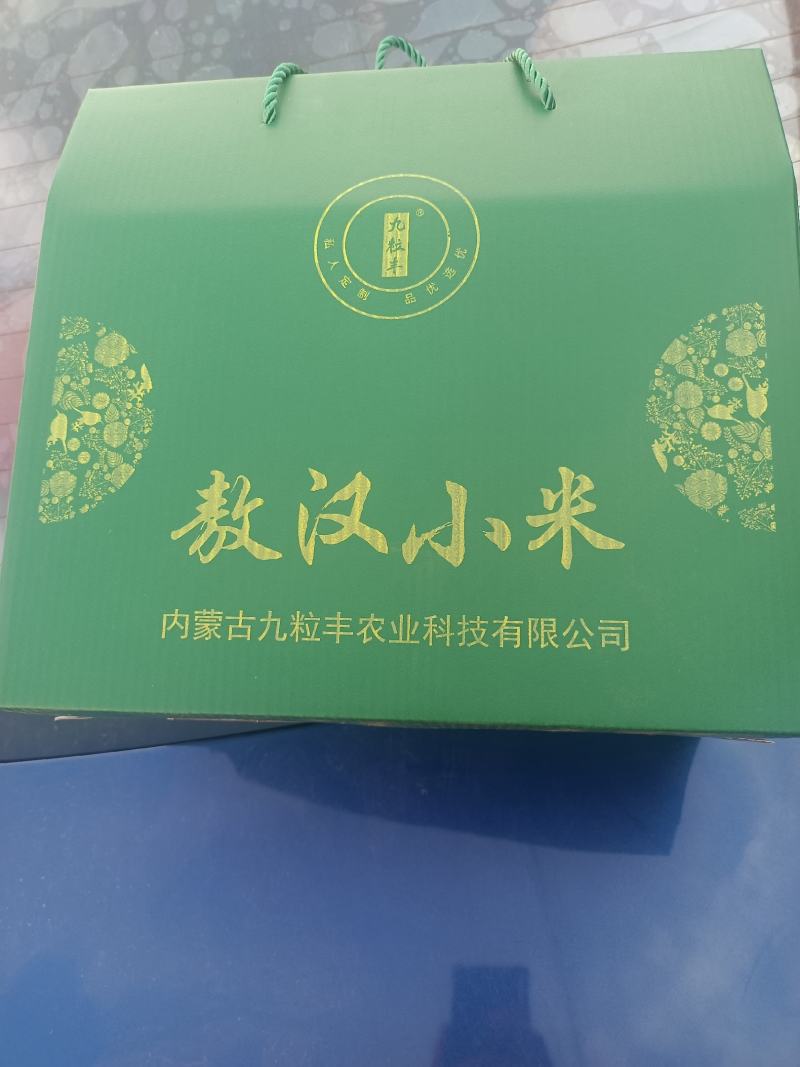 敖汉小米