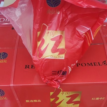 高碑店新发地-乐航商贸中国红三红柚
